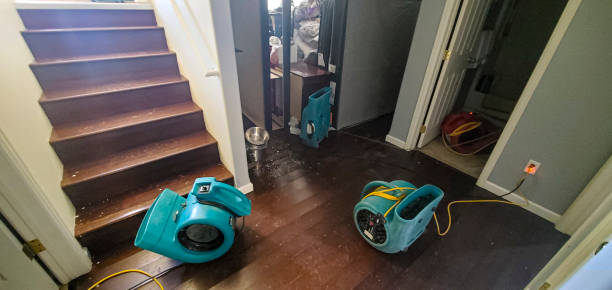 Water damage restoration mold remediation in Ramona, CA