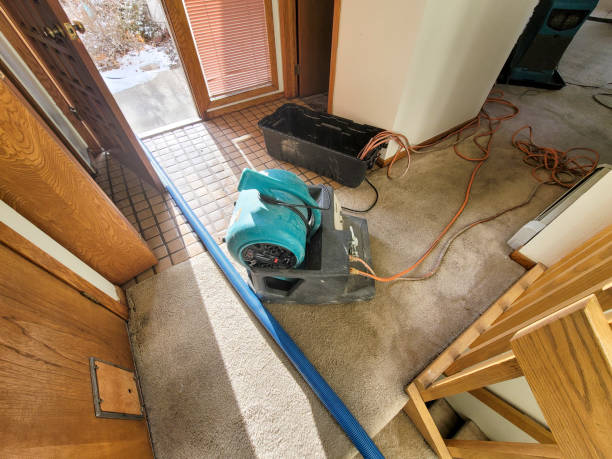 Best Water damage contractors near me  in Ramona, CA