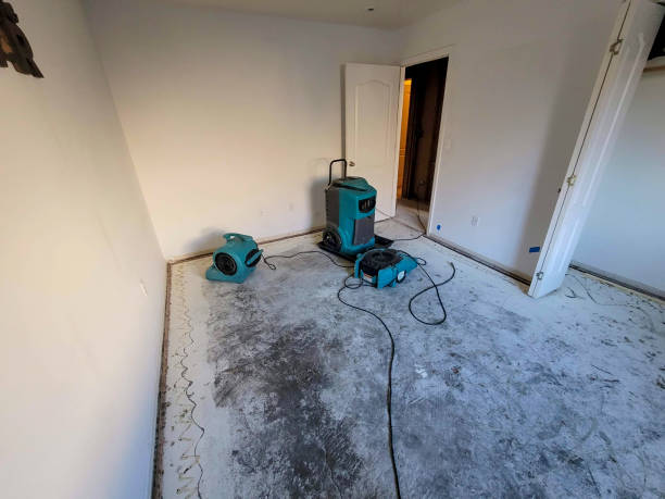 Best Sewage cleanup and water damage restoration  in Ramona, CA