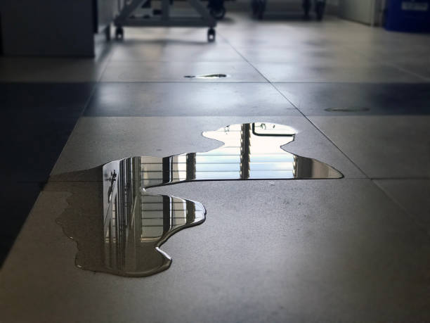 Best Carpet water damage restoration  in Ramona, CA
