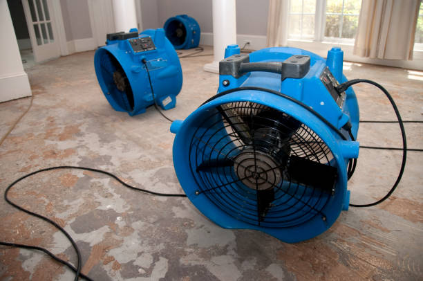 Best Water damage restoration process  in Ramona, CA