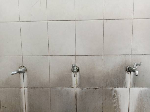 Best Residential water damage restoration  in Ramona, CA