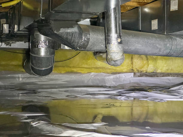Best Water damage cleanup near me  in Ramona, CA