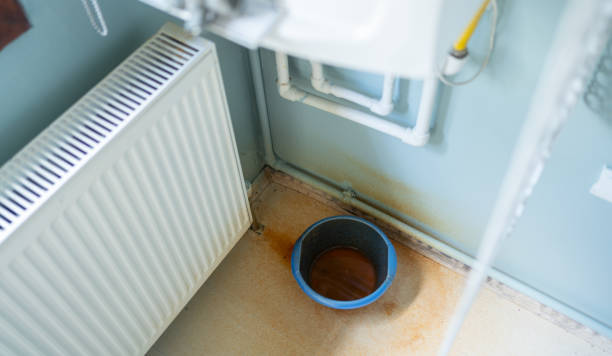 Water damage restoration mold remediation in Ramona, CA